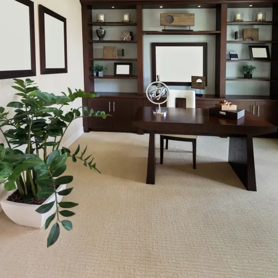 CleanUpliftCleanCarpet