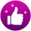 Satisfaction Icon